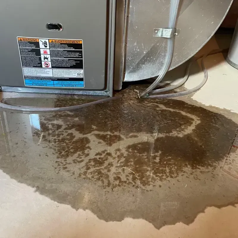 Appliance Leak Cleanup in Mount Angel, OR